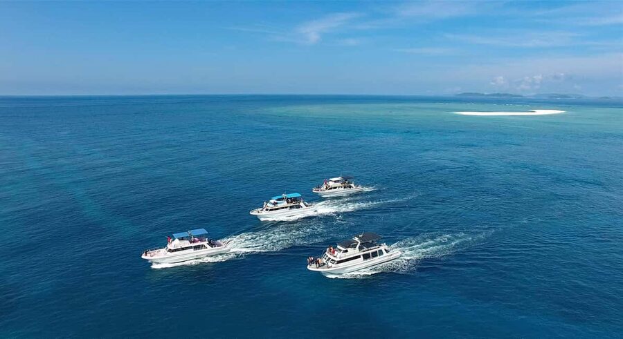 Naha, Okinawa: Kerama Islands Half-Day Whale Watching Tour - Who Will Enjoy This Half-Day Trip Most