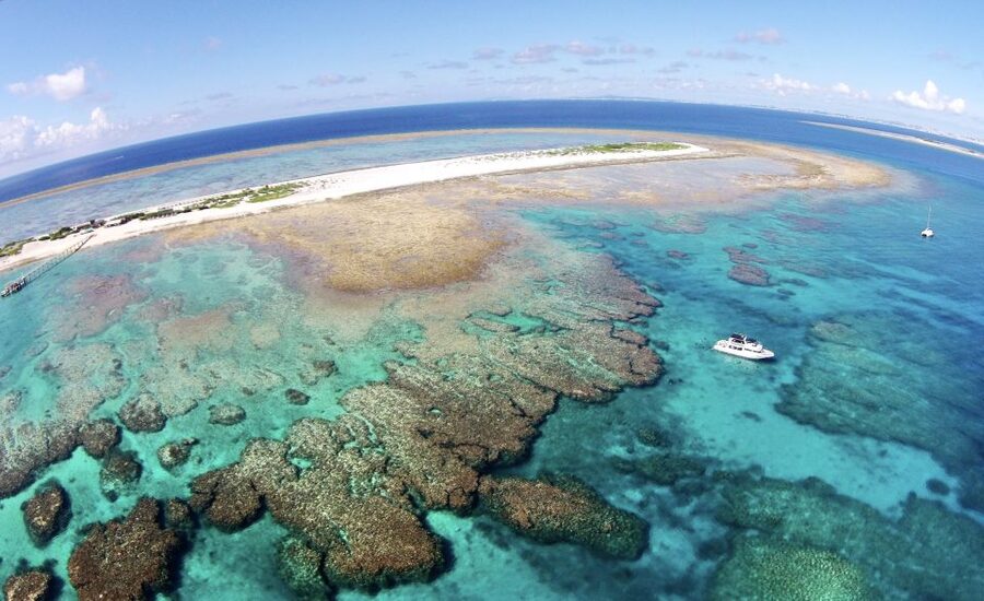 Naha, Okinawa: Keramas Island Snorkeling Day Trip with Lunch - Key points before you book