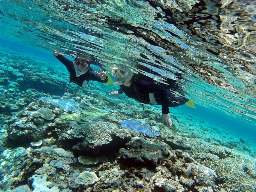 Naha, Okinawa: Keramas Island Snorkeling Day Trip with Lunch - Is $70 good value?