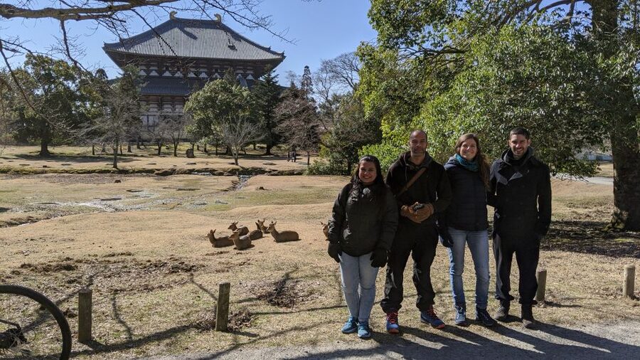 Nara: City Highlights Shared Group or Private Bike Tour - Getting started near Toichi Shougakko
