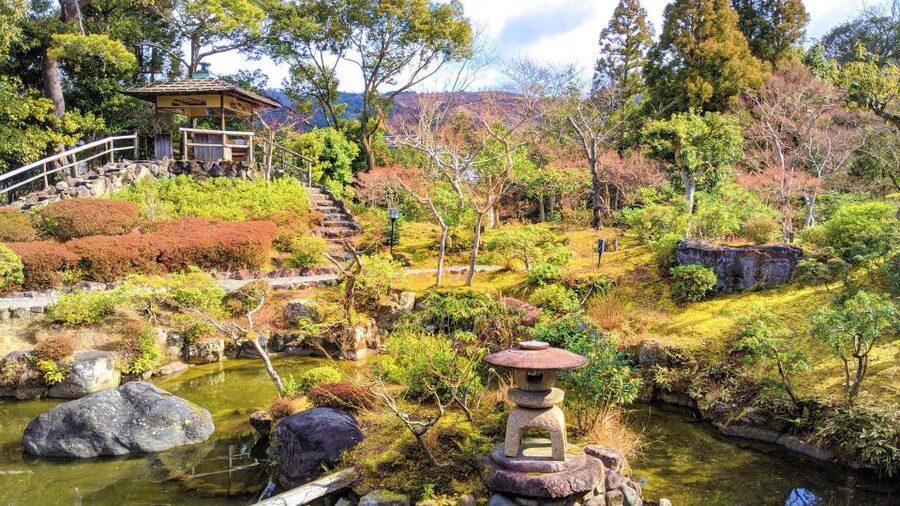 Nara: City Highlights Shared Group or Private Bike Tour - Nara Park, deer, and the practical side of sightseeing