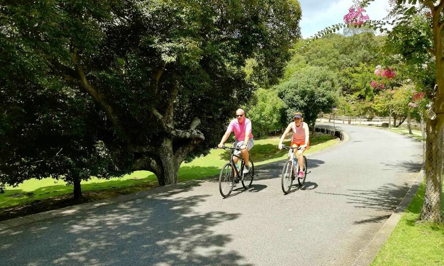Nara: City Highlights Shared Group or Private Bike Tour - Todai-ji and the 15-meter Buddha