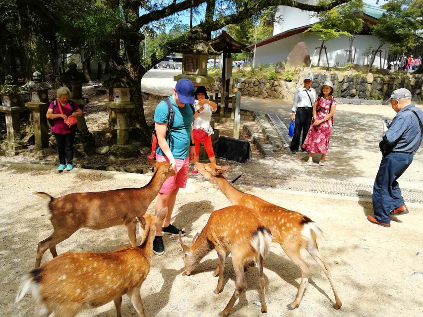 Nara: City Highlights Shared Group or Private Bike Tour - Kasuga Taisha and its thousand lanterns