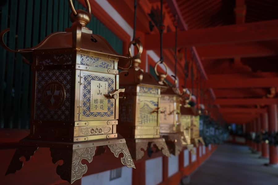 Nara Early Bird Tour (Kyoto Departure Option Available) - Key points to know before booking
