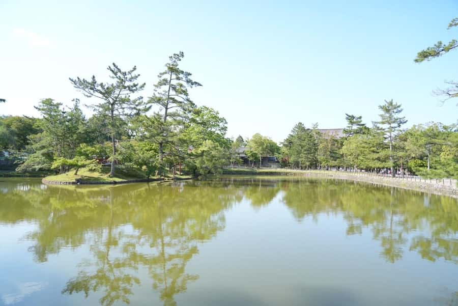 Nara Early Bird Tour (Kyoto Departure Option Available) - Kofuku-ji and the first look at Nara’s old center