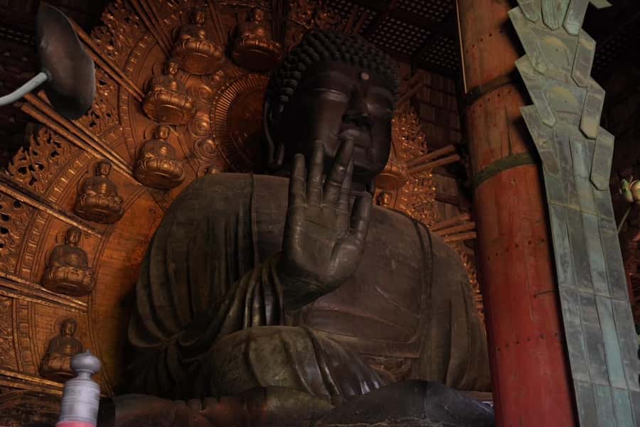Nara Early Bird Tour (Kyoto Departure Option Available) - Kasuga Grand Shrine and the wooded walk