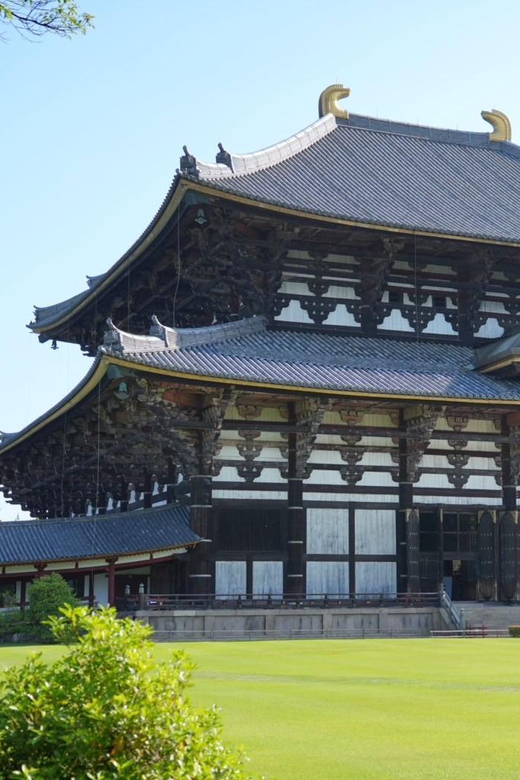 Nara Early Bird Tour (Kyoto Departure Option Available) - How much time you have after the tour
