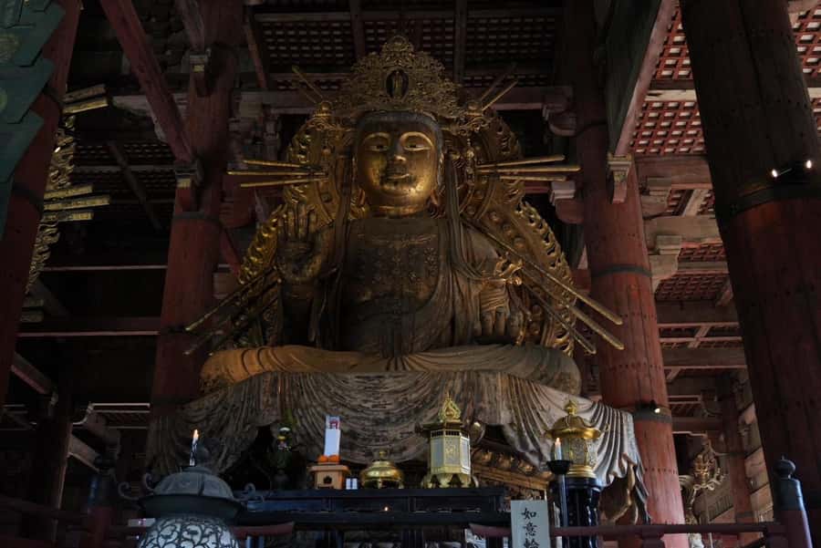 Nara Early Bird Tour (Kyoto Departure Option Available) - What the price includes and what it does not