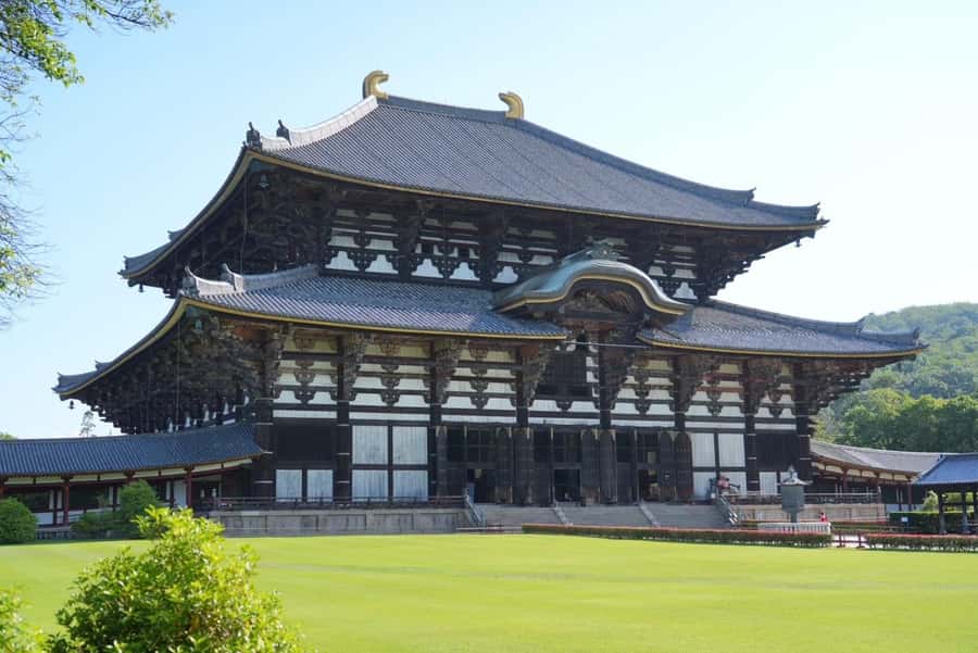Nara Early Bird Tour (Kyoto Departure Option Available) - From Kyoto Station to Nara by public train