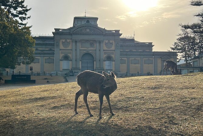 Nara Early Morning Tour (Kyoto or Osaka Departure Available) - Todai-ji and the Great Buddha