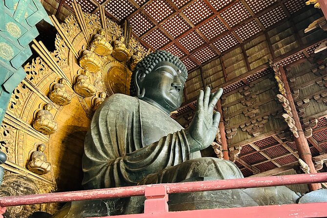 Nara Early Morning Tour (Kyoto or Osaka Departure Available) - What the guides add to the experience