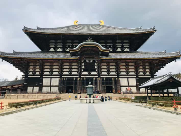 Nara: Essential Private Tour with Deer Park and Temples - Why this short Nara tour works