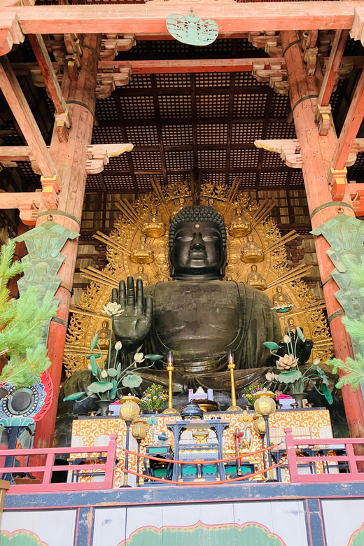 Nara: Essential Private Tour with Deer Park and Temples - Himuro Shrine, a quieter change of pace