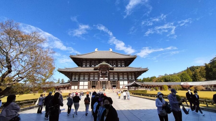 Nara: Great Buddha, Kasuga Shrine & Deer Park Tour - Key points at a glance
