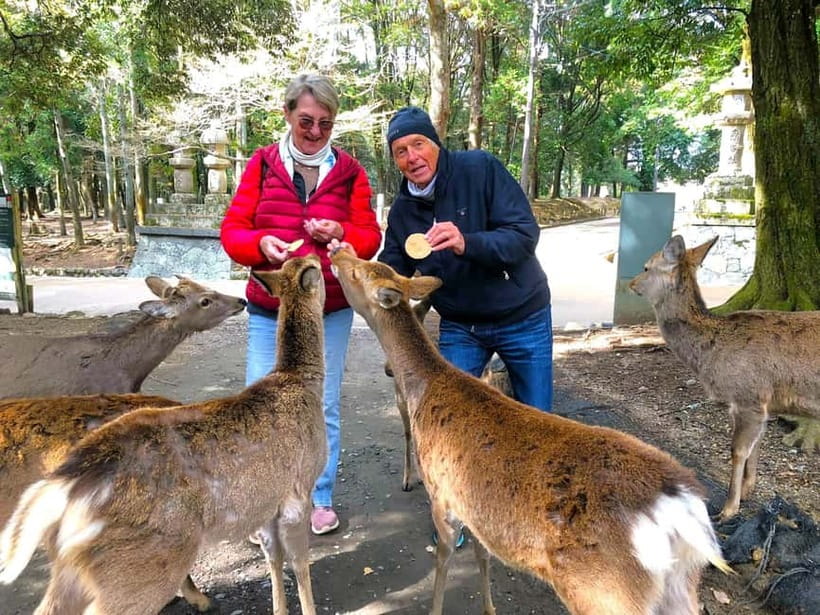 Nara: Great Buddha, Kasuga Shrine & Deer Park Tour - Starting at Himuro Shrine and finding your bearings