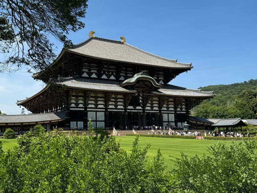 Nara: Great Buddha, Kasuga Shrine & Deer Park Tour - Which kind of visitor will enjoy this tour most?
