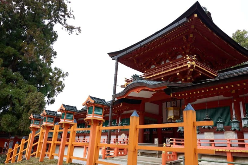 Nara: Great Buddha, Kasuga Shrine & Deer Park Tour - Should you book the Nara Great Buddha and deer tour?