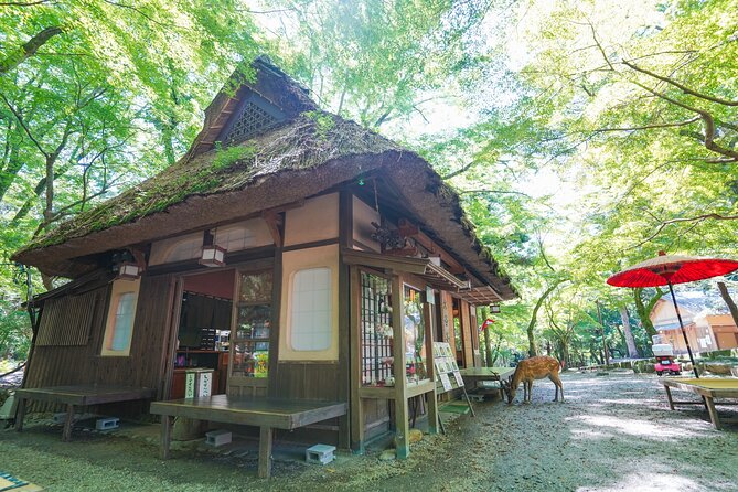 Nara Half Day Trip Walking Tour (Private Option Available) - Lunch at a traditional Japanese restaurant