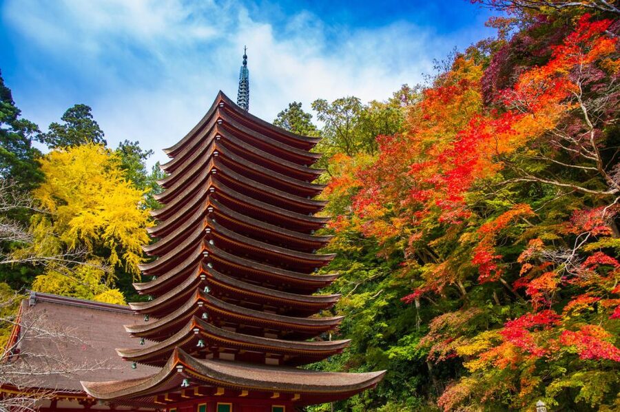 Nara: Private Tour with Private Guide - Why a private guide helps in Nara
