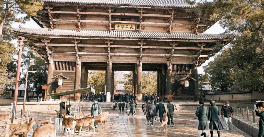 Nara: Private Walking Tour with a Local - A private way to get your bearings in Nara