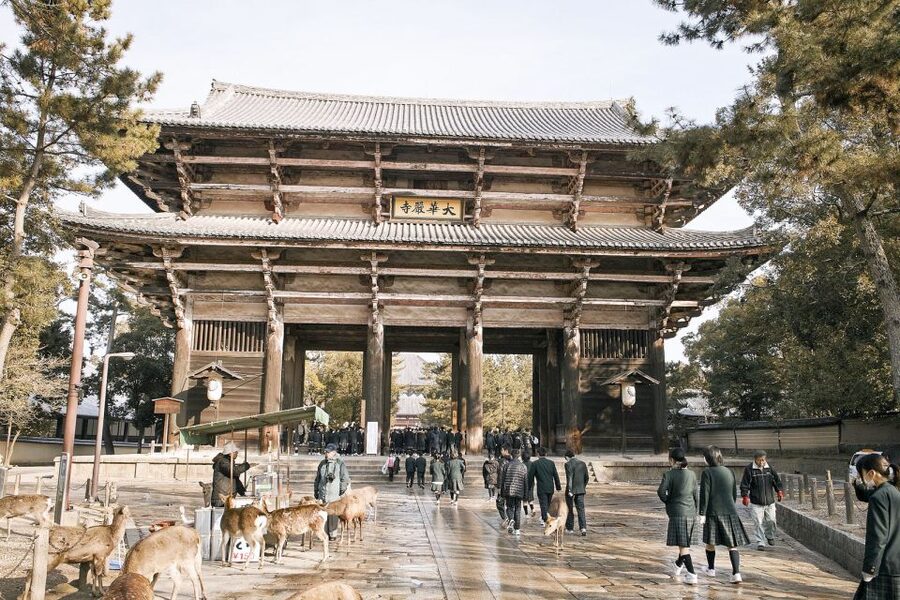 Nara: Private Walking Tour with a Local - Popular sights, quieter corners, and everyday Nara