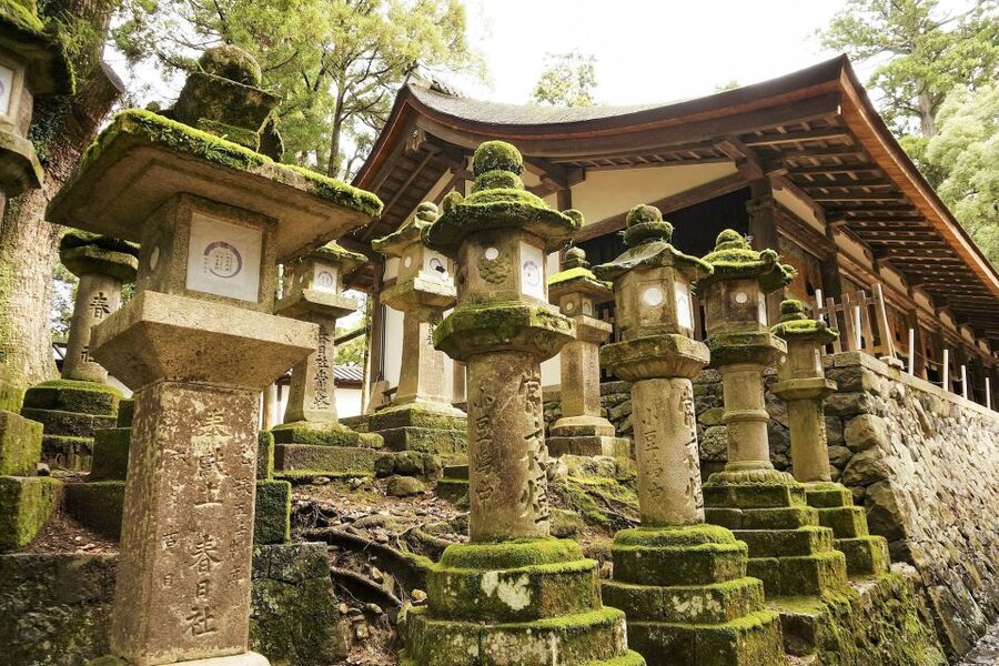 Nara: Private Walking Tour with a Local - Practical details that affect your day