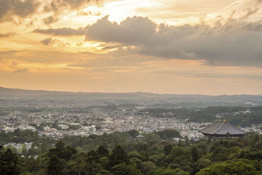 Nara: Private Walking Tour with a Local - Choosing between a short walk and a full six-hour outing