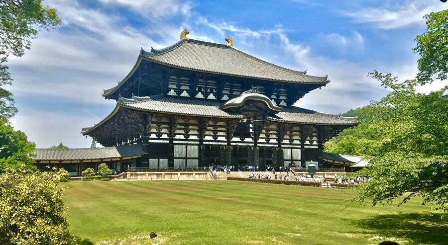 Nara: Todai-ji y parque de Nara (Spanish Guide) - Nara Park is more than a deer photo