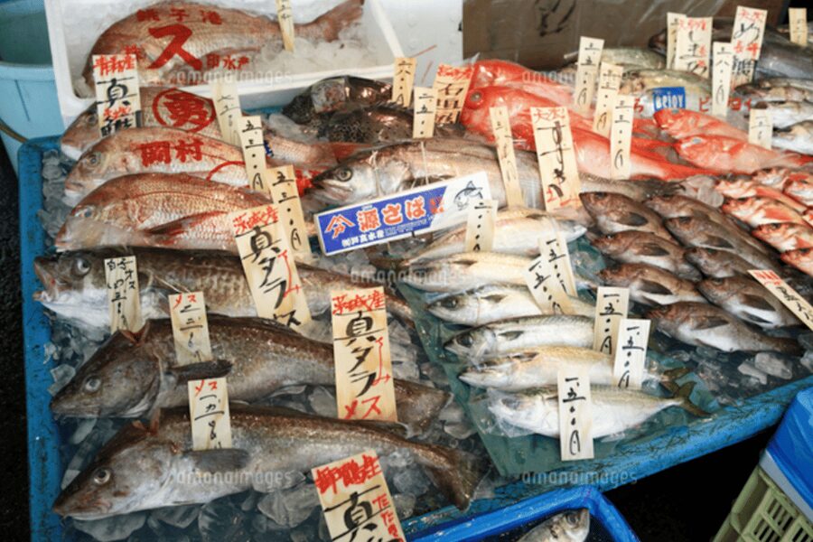 Niigata Private Custom Tour with Local Guide - Key points at a glance
