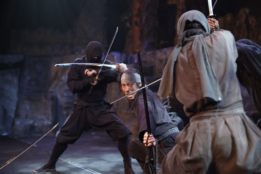 Nikko: Edo Wonderland Edomura Cultural Theme Park Ticket - Ninja houses, mazes, and Edo exhibits