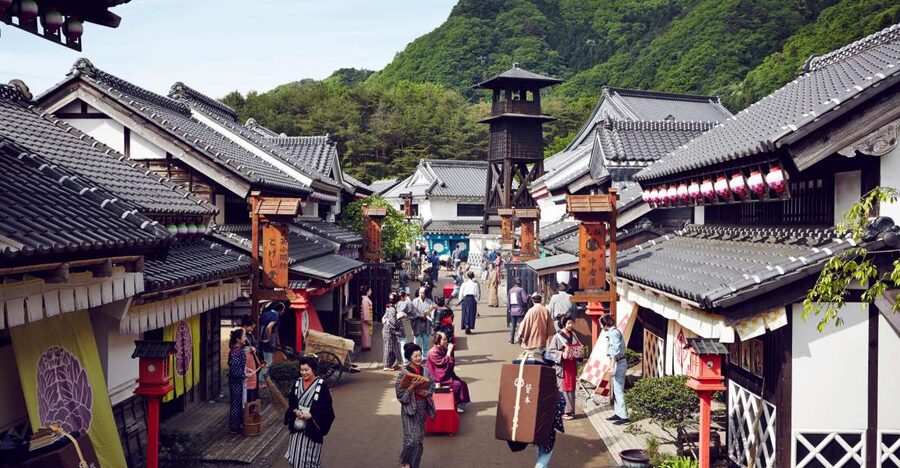 Nikko: Edo Wonderland Edomura Cultural Theme Park Ticket - The shows are the main event