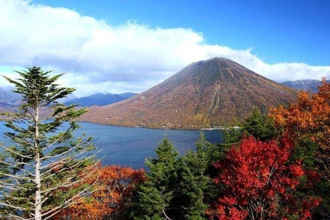 Nikko Full-Day Private Tour with Government-Licensed Guide - A private day means real flexibility