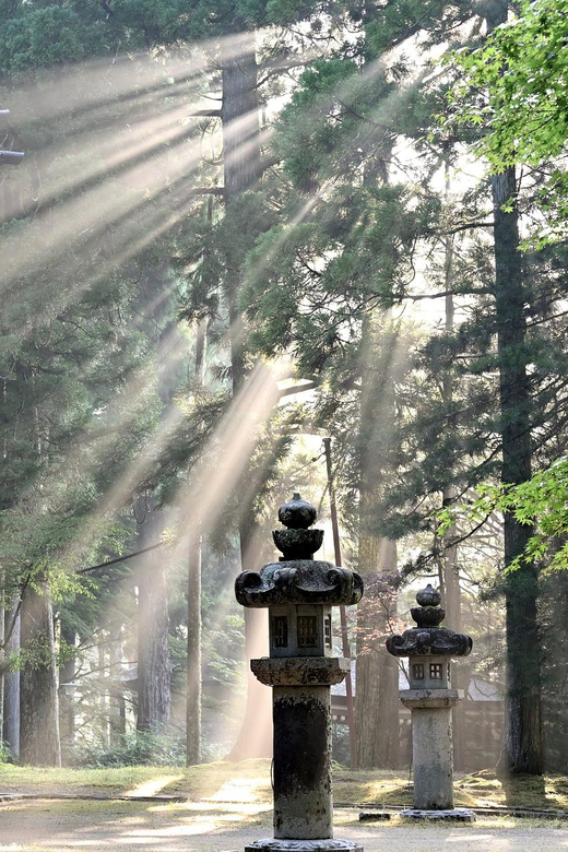 Nikko Heritage & Nature Day Trip from Tokyo - Walking through Toshogu Shrine