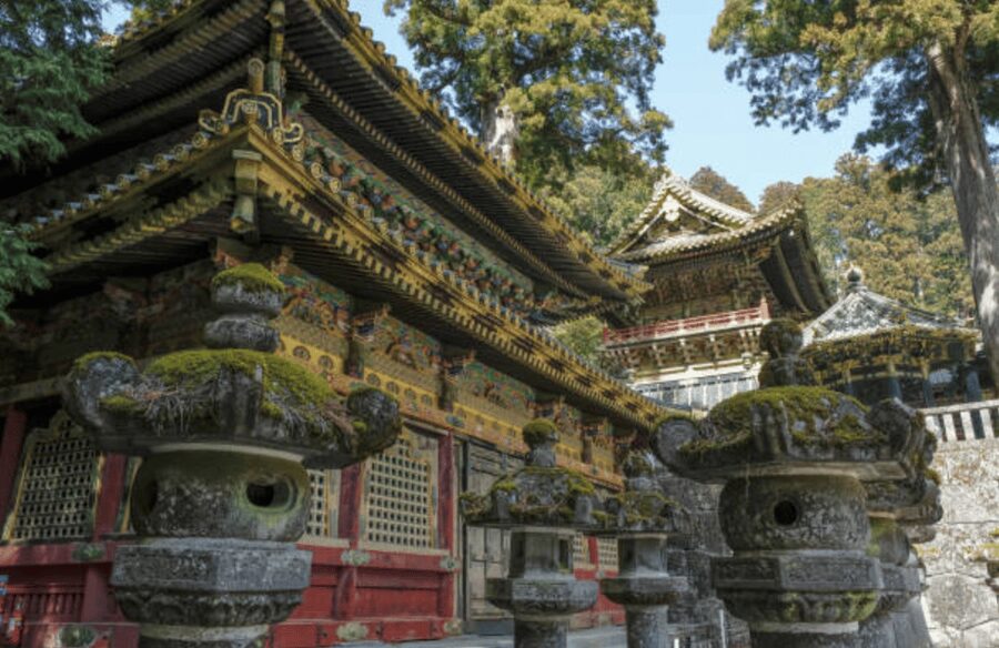 Nikko Private Custom Tour with Local Guide - Entering Toshogu Shrine Through Edo-Period Grandeur