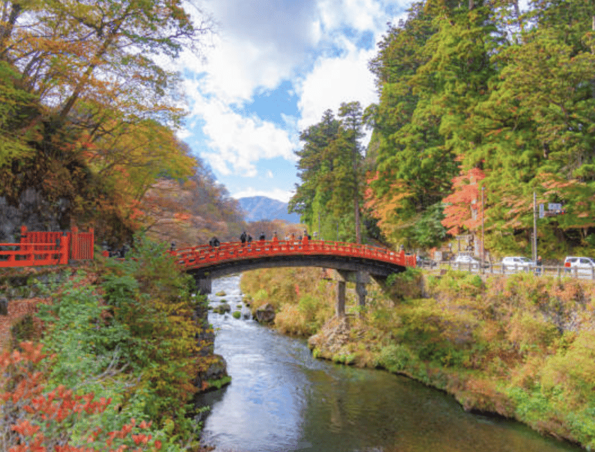 Nikko Private Custom Tour with Local Guide - Who Will Get the Most From This Tour?
