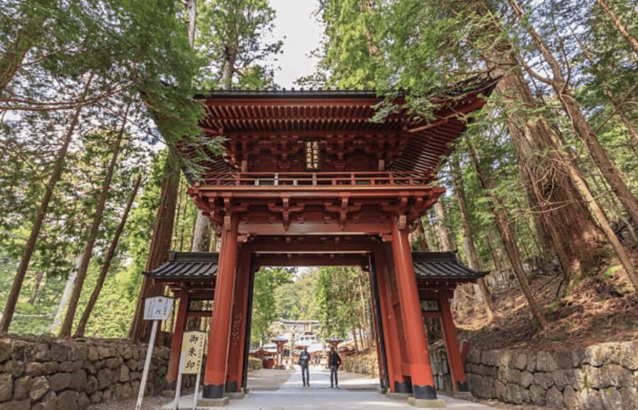 Nikko Private Custom Tour with Local Guide - Adding Rinnoji Temple for a Quieter Religious Mood