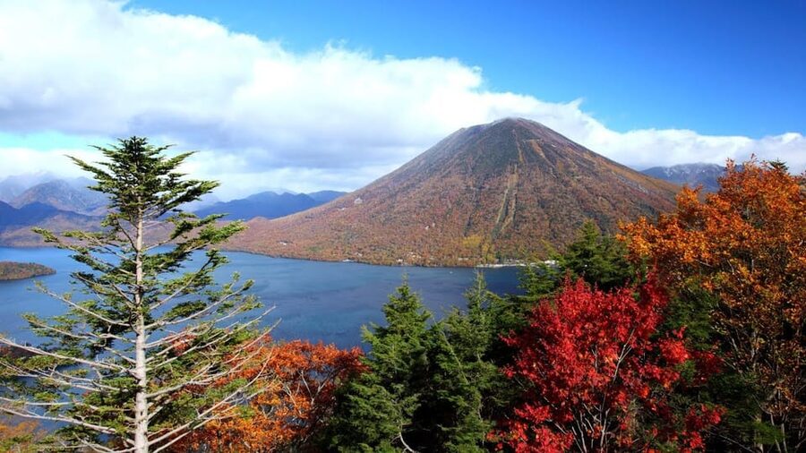 Nikko: Private Walking Tour with Local Guide - Walking, buses, taxis, and extra costs