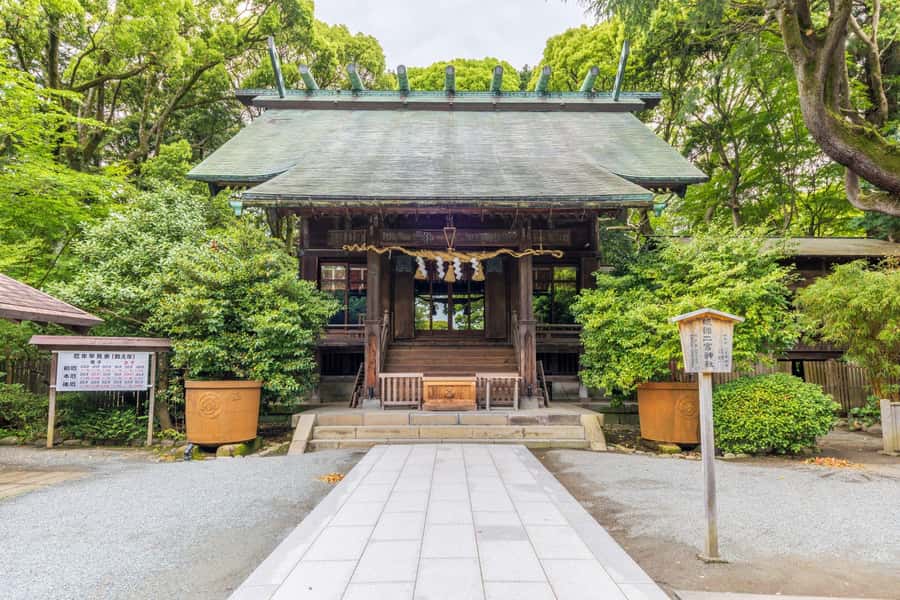 Odawara: Guided Ninja & Samurai Tour of Odawara Castle - Who should book this experience?