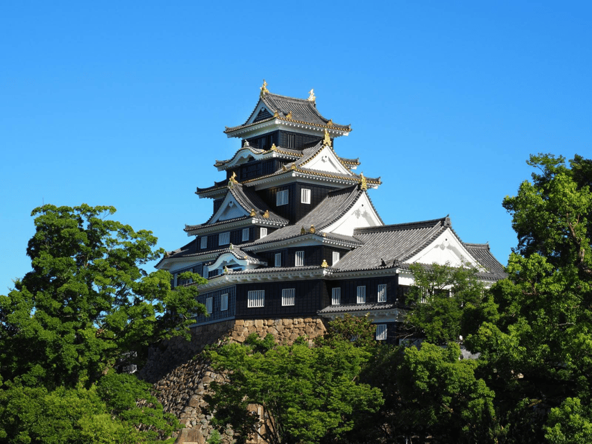 Okayama Castle Admission Ticket - Why Okayama Castle looks different