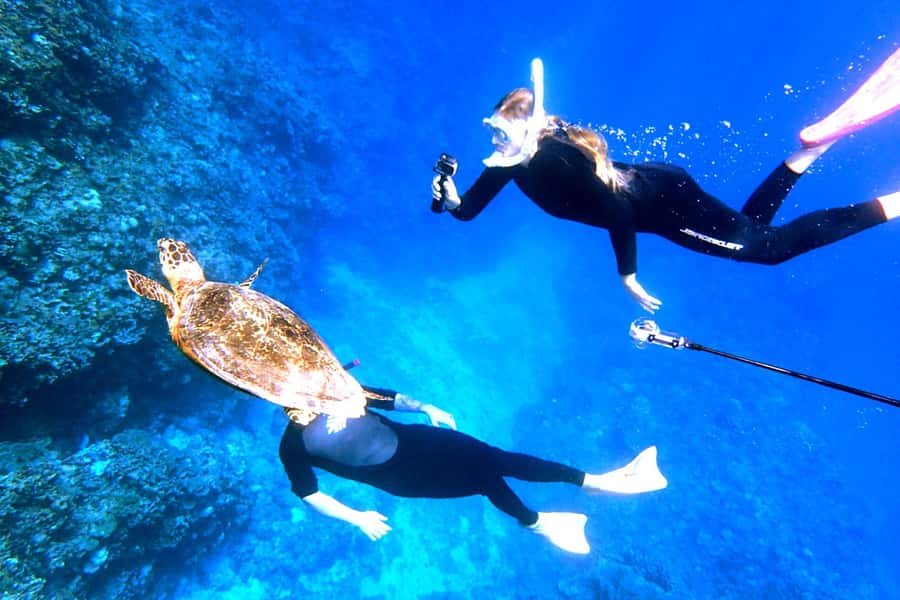 Okinawa: From Naha: Kerama Islands 1-day snorkeling tour - Snorkeling beside scuba participants