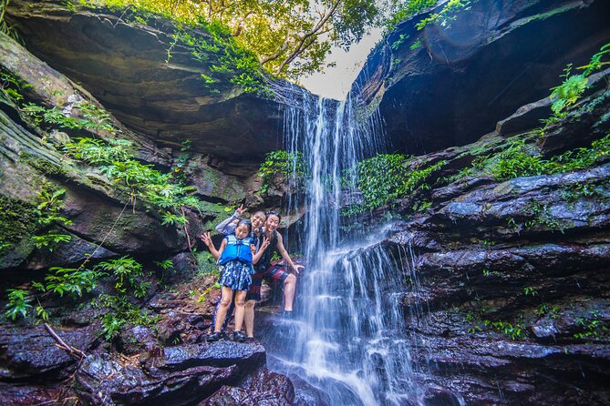 Okinawa Iriomote Mangrove SUP or Canoe Tour - Paddling into Iriomote’s mangrove country