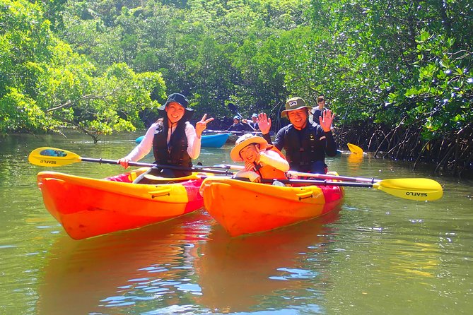 Okinawa Iriomote Mangrove SUP or Canoe Tour - The natural appeal, without rushing the river