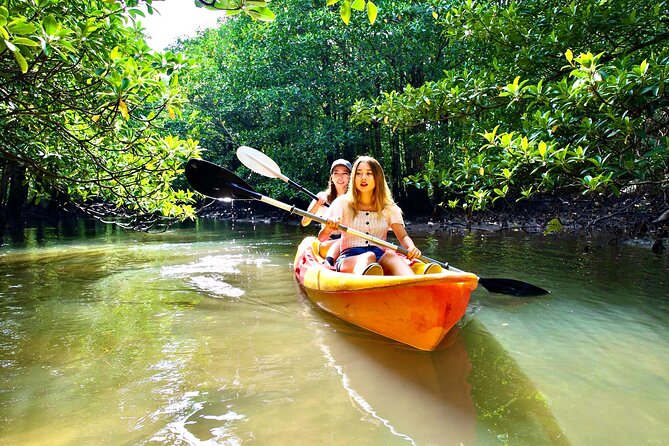Okinawa Iriomote Mangrove SUP or Canoe Tour - Practical planning at Densa Terminal