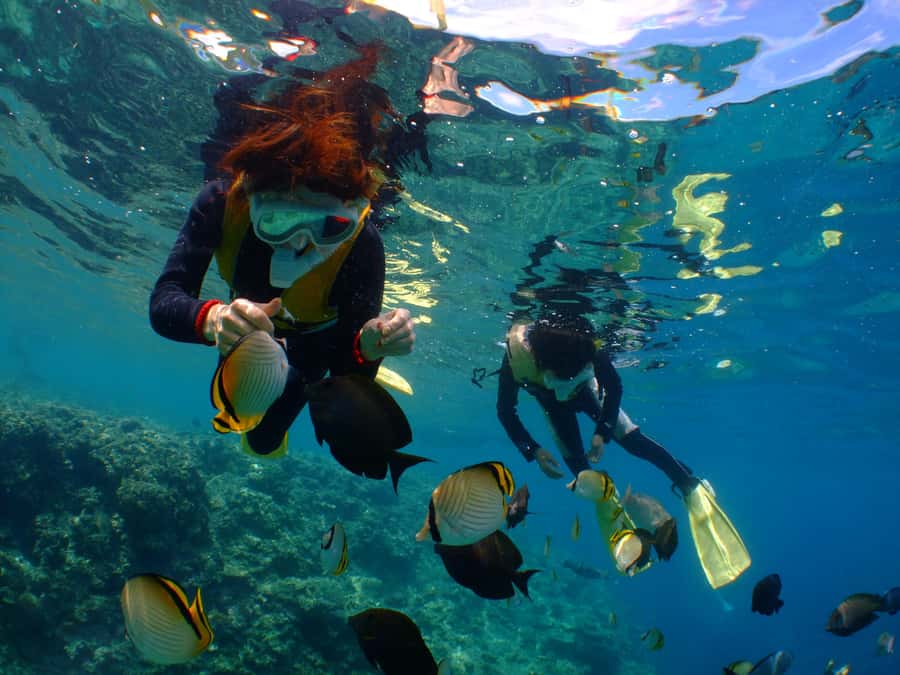 Okinawa : Kerama Whole Day Snorkeling Tour From Chatan/Naha - Kerama snorkeling highlights