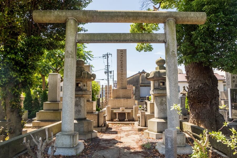 Old and Nostalgic Tokyo: Half-Day Yanaka Walking Tour - Who should book this Yanaka walk?