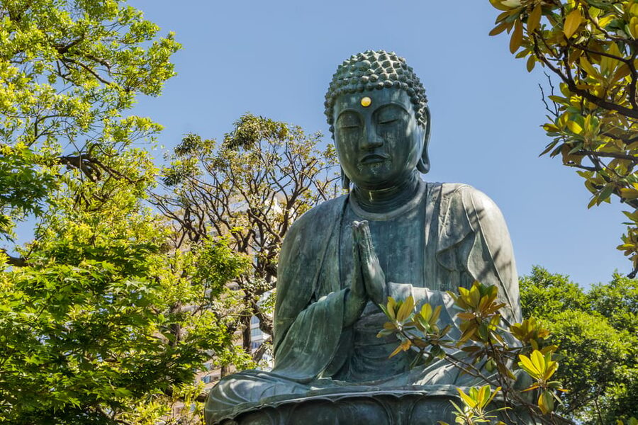Old and Nostalgic Tokyo: Half-Day Yanaka Walking Tour - Yanaka Cemetery, with 7,000 tombstones and cherry trees
