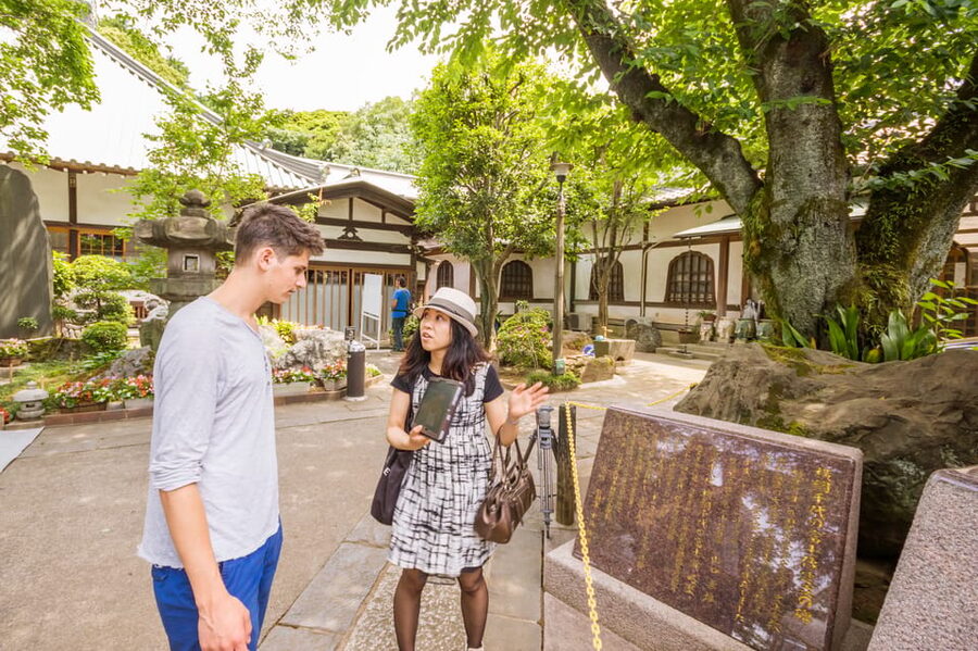 Old and Nostalgic Tokyo: Half-Day Yanaka Walking Tour - What the guide adds to the walk