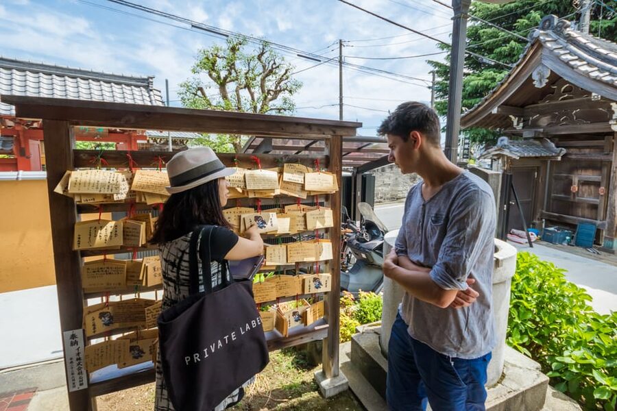 Old and Nostalgic Tokyo: Half-Day Yanaka Walking Tour - Is $83 a fair price for 210 minutes?