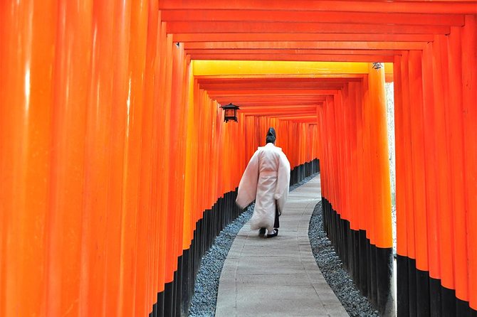 One-Day Tour of Kyoto's Highlights from Osaka/Kyoto - Fushimi Inari and its endless red gates