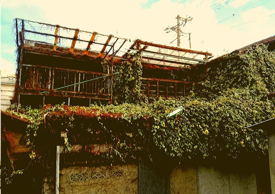 Osaka: Deep Backstreets Walking Tour with Dinner Option - The abandoned properties and Osaka’s uncomfortable past